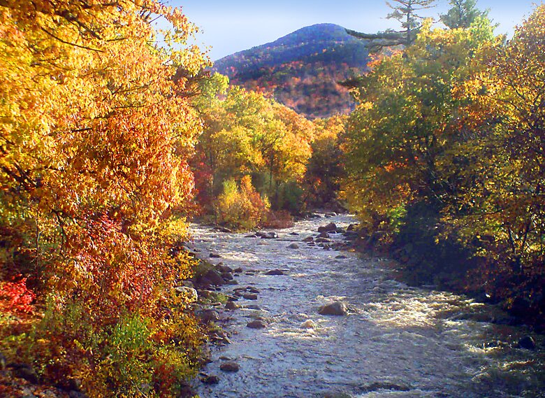 East Branch of Saco River